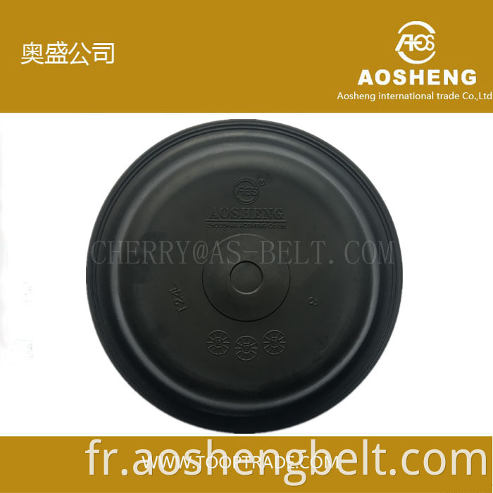 Diaphragme Aosheng T30L pour camion Renault fabriqué en Chine